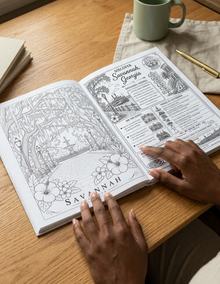 Let's Travel and Color